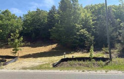 E Hoxie Road, Cedar, MI 49621