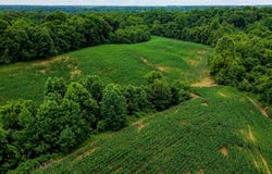 W Shawtown Rd, Troy, TN 38260