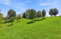 River Cliff Drive lot: 47, Kodak, TN 37764