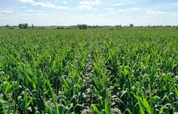 Benson Street, Weldon, IA 50264