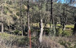 16015 Apache Trail, Corning, CA 96021