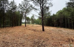 4845 Myers Road, Monroe, NC 28110