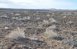 66 5129, Concho, AZ 85924