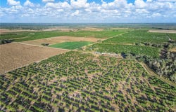 REST HAVEN Road, Zolfo Springs, FL 33890