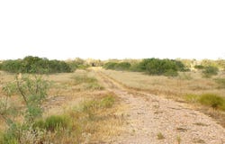 Parcel 2 Lobo Lane, Columbus, TX 78934