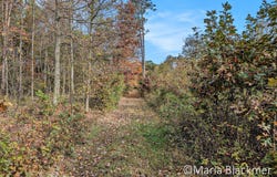 E Charles Road, Ionia, MI 48846