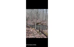 Watson Hollow Rd, Speedwell, TN 37870