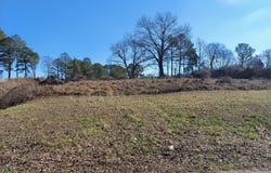 Holcomb St, HOLLOW ROCK, TN 38342