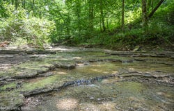 Tract B Bowman Ln, Taylorsville, KY 40071
