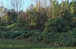 1173 Willow Trace, Grayson, GA 30017