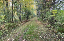 Bugbee Road, Springfield, VT 05156