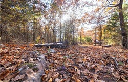 TBD S 4497th RD, Vian, OK 74962