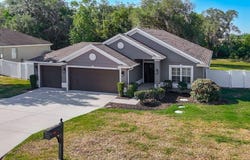 12244 LOOPBACK Drive, SAN ANTONIO, FL 33576