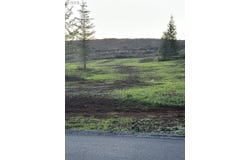 232 Suncrest Dr, CastleRock, WA 98611