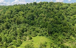 Temperanceville Highway, Barnesville, OH 43713