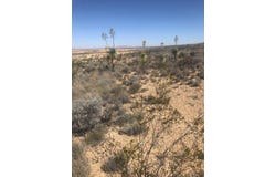 45 Esperanza Road, Alpine Terlingua, TX 79852