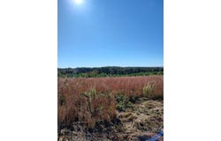 21 Fredonia Road, Dunlap, TN 37327