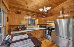 203 Mountain View DR, Cherry Log, GA 30522