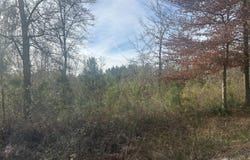 1 Old Jacksonboro Road, Ravenel, SC 29470