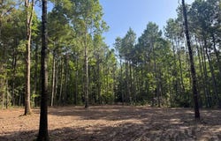 Tract 3A Cr 2322, Rusk, TX 75785