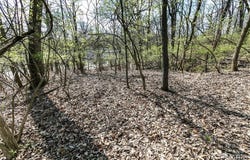 740 Forest Avenue, Valley Park, MO 63088
