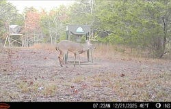 428665 E 1920 Rd., Antlers, OK 74523