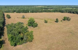tbd 80 acres State 210, Pillager, MN 56473