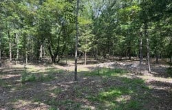 18 CATAWBA lot: 19, Clarkridge, AR 72623
