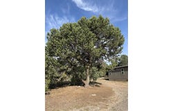 45 Holli Loop, Edgewood, NM 87015