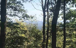 143 Raptor Way, Landrum, SC 29356