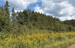 On Dark Corner Road, Ashland, WI 54806