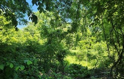 10 & 6 CARTER Road, PRINCETON, NJ 08540