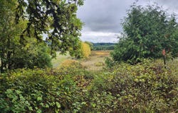 19326 Alsea Highway, Alsea, OR 97324