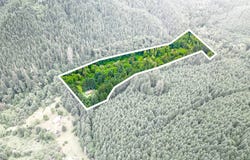 89366 NELSON MOUNTAIN Rd, Walton, OR 97490