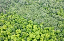 DAVID RD lot: 3, Gleason, WI 54435