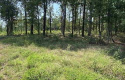 Bluff Dr. lot: 6 & 7, Edgemont, AR 72044