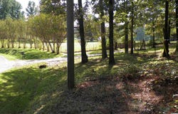 9146 THERMAL ROAD lot: 6, WARRIOR, AL 35180