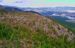 W Fork Combest Creek Road, Plains, MT 59859