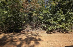 L4E B3 Ridgecrest Drive, Highland, AR 72542