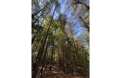 1807 N. Sapa Rd, Eupora, MS 39744