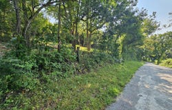 Mclean Road, Ozark, MO 65721