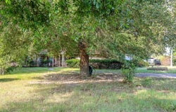 306 CR 415, Tenaha, TX 75974
