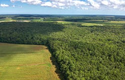 BLUEBERRY Road, WHALEYVILLE, MD 21872
