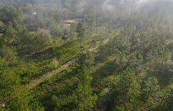 Elmer Thrift Road, Waycross, GA 31503