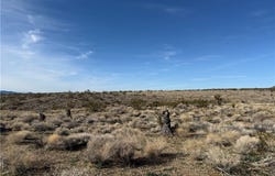 316-03-249 JUNE Road, Dolan Springs, AZ 86441