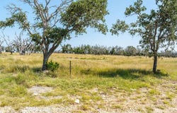 Packsaddle Dr lot: 100, Harper, TX 78631