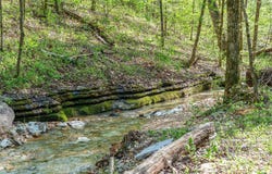 160 Old Horseshoe, Lampe, MO 65681