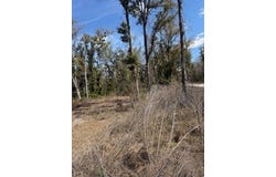 135 NE 349th Ave, Old Town, FL 32680