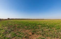 CR 262, McCaulley, TX 79534
