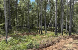 COUNTY ROAD 246 lot: 50, FIVE POINTS, AL 36855